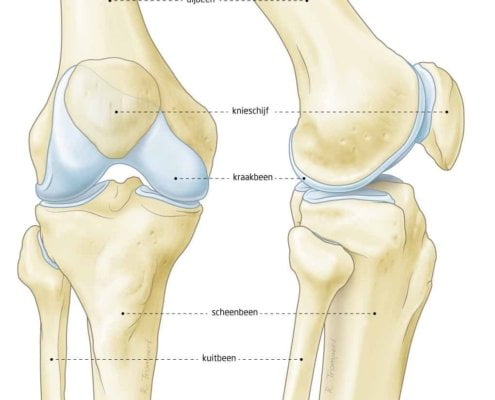 knieklachten echozorg