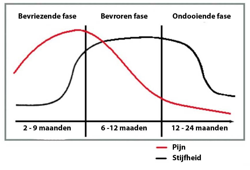 frozen shoulder fases echozorg